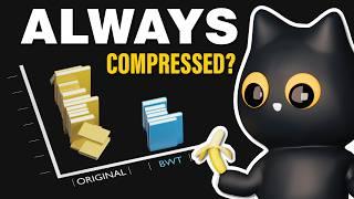 The most versatile compression technique? (Burrows-Wheeler Transform)