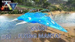 Amazing Giant Manta!  Elemental Ark - #20- Ark Survival Evolved Super Modded