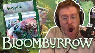 THIS IS THE BEST SET IN YEARS! | Bloomburrow MTG Collector Box Haul