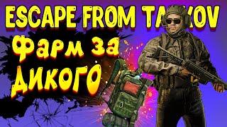 Дикий Тарков | фарм за дикого | escape from tarkov