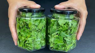 Cilantro Saving Tip Easy    How to keep Coriander Fresh for long in Fridge   Life Hacks  