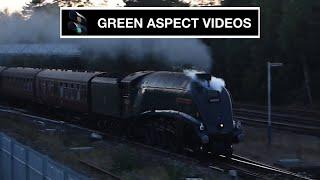 Green Aspect Videos - Channel Trailer - 2020