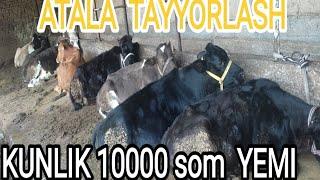 KUNLIK 10000 MING SOM RASXOD. ATALA TAYYORLASH JARAYONI TOLIQ