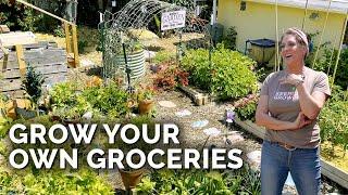 She Grows 80% Of Her Produce For a Family of 5  | Suburban Garden Tour