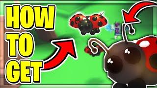 How To Get A *DIAMOND LADYBUG* In Roblox Adopt Me! Everything New In The Farm Shop Update!