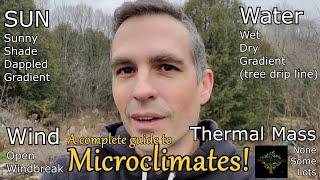 Guide to creating microclimates in your garden
