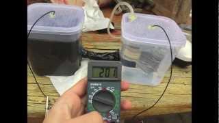 DIY Microbial Fuel Cell (easy)