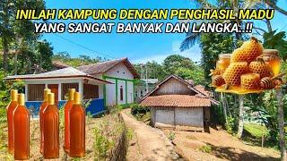 KAGET SETIAP SUDUT RUMAH BANYAK MADU