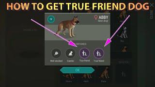 how to get true friend dog in last day on earth game in new update