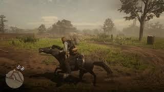BEST GRAPHIC SETTINGS FOR RED DEAD REDEMPTION 2 / OPTIMIZED SETTINGS FOR PC 2021