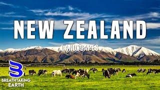 Wonders Of New Zealand  Top 25 Best Places To Visit In New Zealand  New Zealand Travel Guide