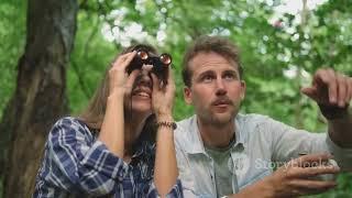 Sky High: Birdwatching in Bulgaria’s Danube Delta #animal2024 #wildlife