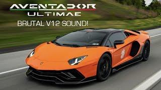 THE CRAZIEST SOUNDING LAMBORGHINI!! AVENTADOR SVJ/ULTIMAE FULL F1 EXHAUST