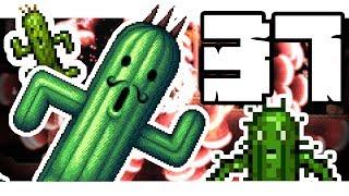 JUMBO CACTUAR BOSS! - Terraria 1.3 MODDED SEASON 2 v1 - Ep.37