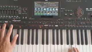 Korg Style Music - Italo Disco (Danekoo1 & Korg Pa4x ) 2023