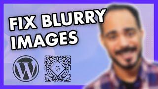 How to Fix Blurry WordPress Images/Blog Post Photos (in WordPress Backend)