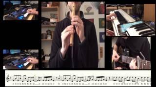 Myles Cyrus - Wrecking Ball - Flute (recorder) cover and sheet music - Carlos Rodríguez Parrón