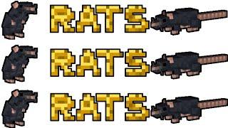 Rats mod in Minecraft