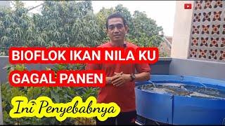 Gagal panen Bioflok Ikan Nila