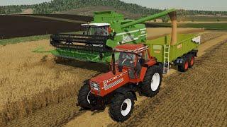 Farming Simulator 22 Zielonka Wheat harvest