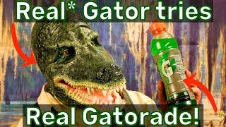 Real* Gator tries Real Gatorade - Ranking 6 flavors - American Alligator Face Prosthetic Makeup Demo