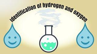 Practical Work of Chemistry | Identification of hydrogen and oxygen #PracticalWork #ShashvitaRatra