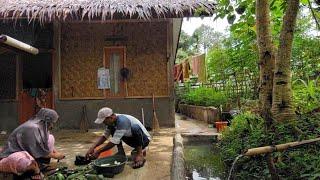 Keripik Pisang - Hidup di Desa