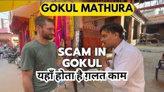 Gokul Mandir | Scam in Temple | mathura vrindavan