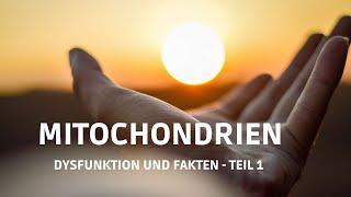 Mitochondrien - Dysfunktion und Fakten - Teil 1