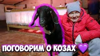 Уход за козами