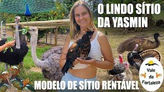 MODELO DE SITÍO SUSTENTÁVEL E SUPER RENTÁVEL -  AVES EXÓTICAS