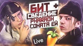 Разбор БИТА и СВЕДЕНИЯ PHARAOH - "Соната ей" | + ПРЕСЕТЫ