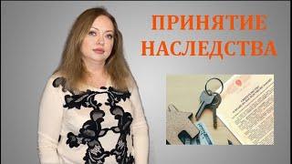 Как правильно принять наследство  Способ 1 подача заявления нотариусу/московский адвокат