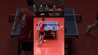 The best table tennis shot of 2023  #tabletennis #shorts