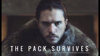 House Stark | The Pack Survives