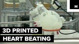 3D printed heart beats