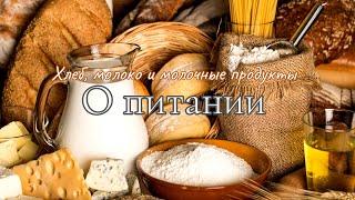 ОСОЗНАННОЕ ПИТАНИЕ. Хлеб, молоко и молочные продукты | Белый Орион.