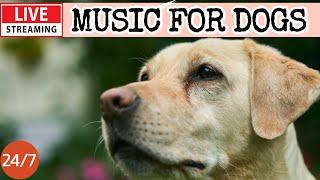 [LIVE] Dog MusicDog Calming MusicSeparation Anxiety Relief MusicSleeping Music For Dogs2-3