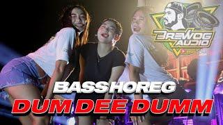 DJ DUM DEE DUM BASS HOREG VIRAL TIKTOK TERBARU 2023 PARGOY BREWOG PALING DICARI