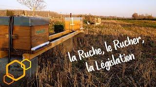 Débuter l'Apiculture : 01 Ruche, Rucher et Législation