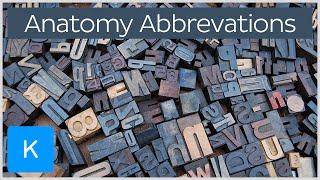 The 31 most common medical terminology (anatomy) abbreviations | Kenhub