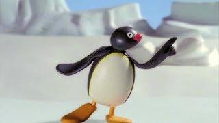 Pingu English New Episodes #14