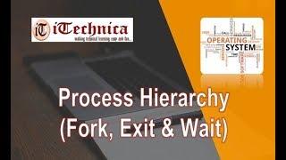 2. Process Hierarchy: Fork, Exit & Wait System Calls