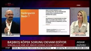 Sahipsiz hayvanlarda Saldırganlık üzerine ulusal kanalda gerçekleştirdiğimiz yayından bir kesit