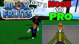 ROBLOX BLOXFRUIT NOOB TO PRO DAY 1