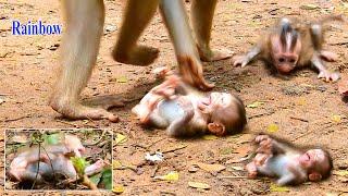 Tiny monkey Rainbow was mis-treated by step mummy Libby