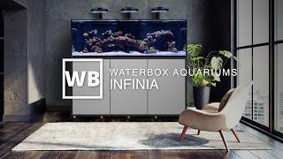 Waterbox Aquariums INFINIA