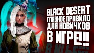 BLACK DESERT ГЛАВНОЕ ПРАВИЛО ДЛЯ НОВИЧКОВ В ИГРЕ!!!