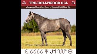 2024 Return to the Remuda Sale Hip #118 TRR Hollywood Gal