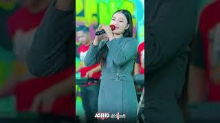 PENGADILAN CINTA - CANTIKA feat AGENG MUSIC